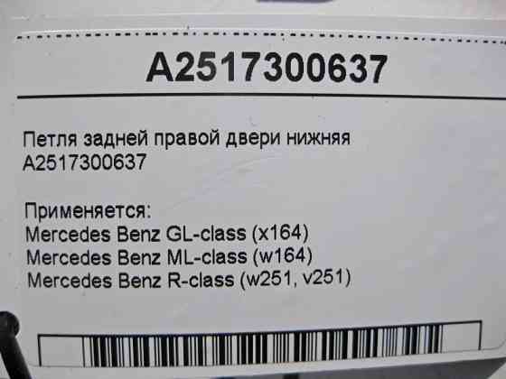 Mercedes-Benz  A2517300637 Петля задніх правих дверей нижня ML W164 GL X164 Одеса
