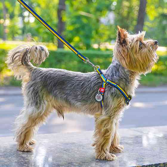 Повідець для собак нейлоновий WAUDOG Nylon, малюнок "Colors of freedom", XS, Ш 10 мм, Дов 122 с Коломыя