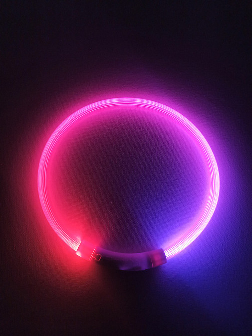 Светящийся ошейник для собак или котов с USB зарядкой имеет три режима свечения М 50 см розовый Киев - изображение 2