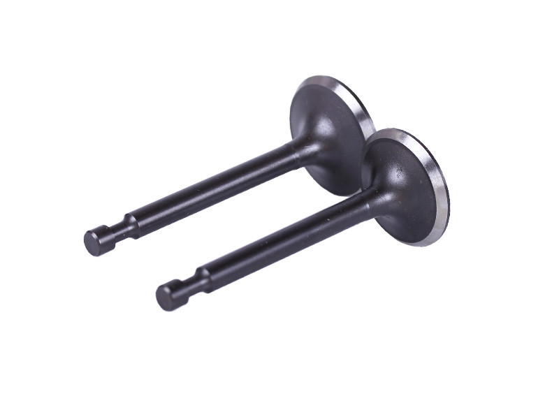 Клапани (пара, голі) мотоблок P70F Мукачево - фото 1