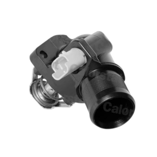 Термостат Nemo, Peugeot Bipper 1.4i 08- Citroen Мукачево - фото 1