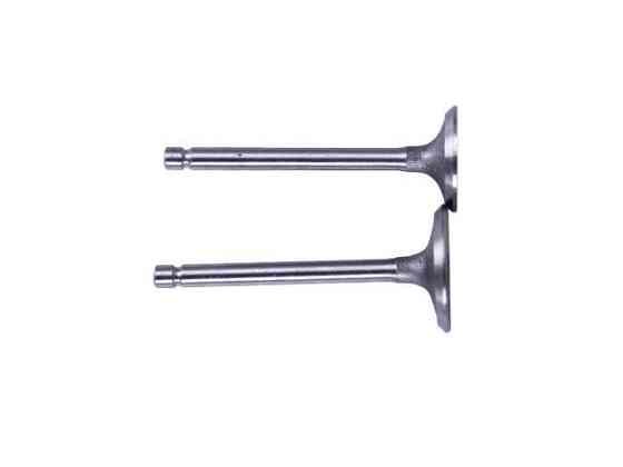 Клапани, к-т 2 шт. - мотоблок дизель 173D Мукачево