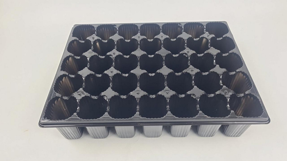 Кассета для рассады 43,5*32,5* 10 пластиковая  на 35 V-ячеек-175 см3(ячейка 55мм*55мм*95мм) (1 шт) Харьков - изображение 1