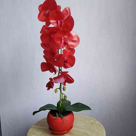 Штучна латексна орхідея VIP у червоному керамічному кашпо на одну гілку червона Дніпро