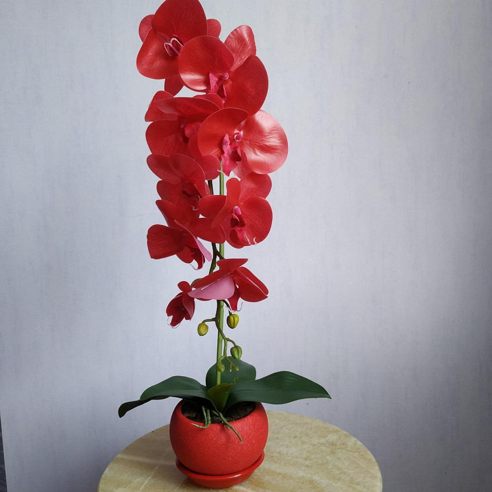 Штучна латексна орхідея VIP у червоному керамічному кашпо на одну гілку червона Дніпро - фото 1