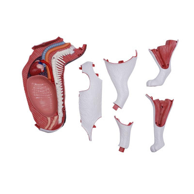 Пазл 4D Master Master Кіт (FM-622040) Вінниця - фото 5