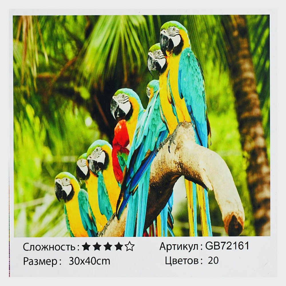 Алмазна мозаїка TK Group розмір 30х40см Папуги (GB 72161) Чернигов - изображение 1