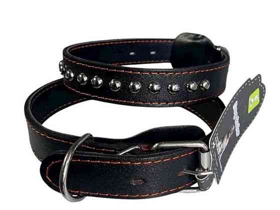Ошейник Кожа 40см 20мм с украшениями ТМ DOG COLLAR Киев