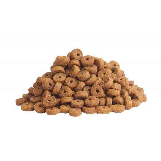 Сухий корм для дорослих котів Клуб 4 лапи Club 4 Paws з кроликом 1 кг (на вагу) Вінниця