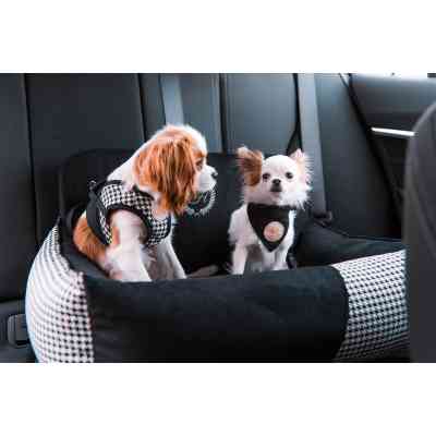 Автомобільне крісло для тварин Chloe&apos;s Home Porto black подвійне 68х48 см чорне (CLH1233) Вінниця