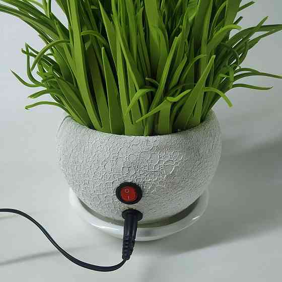 Світильник-нічник_Білі крокуси Дніпро