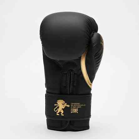 Боксерські рукавички Leone Mono Black 10 ун. Каменское