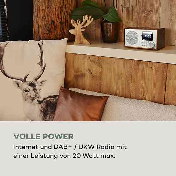 Інтернет-радіо DAB+/FM Silver Star Mini (Німеччина, читати опис) Рівне