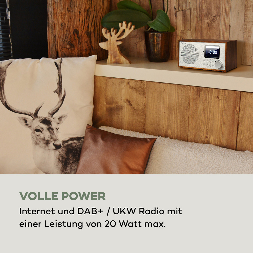 Интернет-радио DAB+/FM Silver Star Mini (Германия, читать описание) Ровно - изображение 2