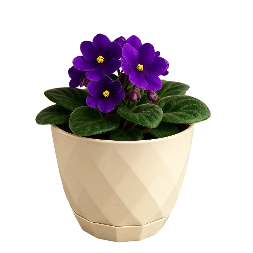 Вазон Yakamoz Saksi 0,3л бежевий ELIF Житомир - изображение 2