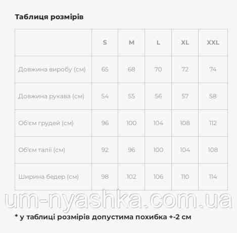 Жіноча вишиванка в стилі петриківського розпису "Писанка" Кривий Ріг