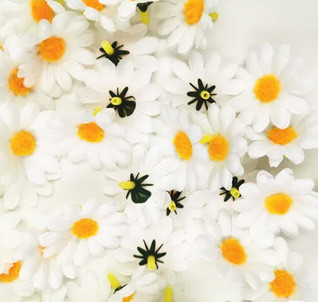 Квіти для рукоділля Ромашки 20 шт Київ - фото 1