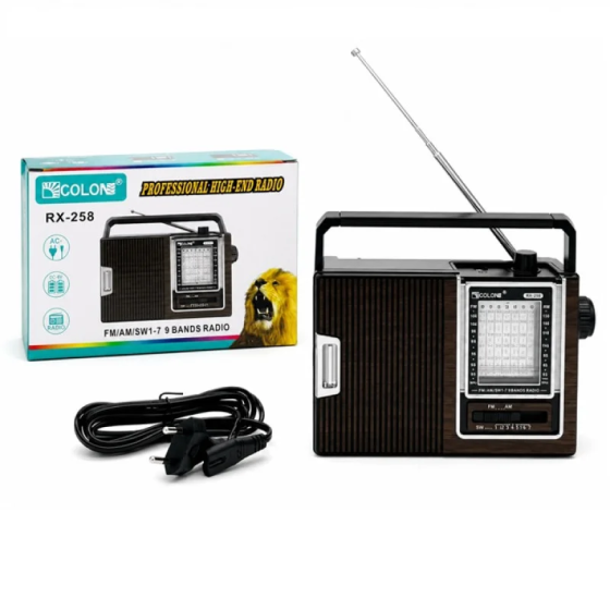 Портативний радіоприймач Golon RX-258 з Bluetooth, MP3, USB, SD, вбудованим акумулятором Одеса