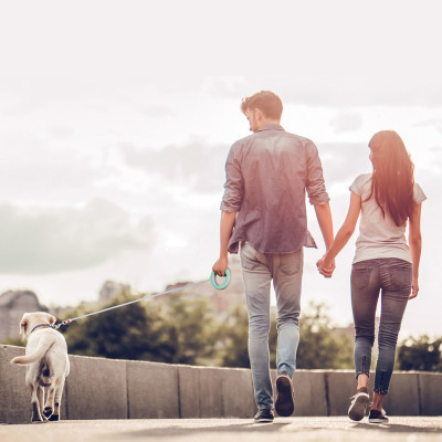 Поводок для собак WAUDOG R-leash светоотражающая лента XS-M до 40 кг 2.9 м салатовый (81275) Винница - изображение 3