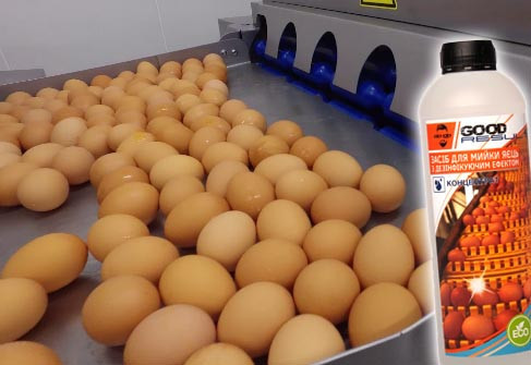Засiб для мийки яєць з дезінфікуючим ефектом GOOD RESULT для харчової промисловості, HoReCa та інкубаторів Павлоград - фото 2
