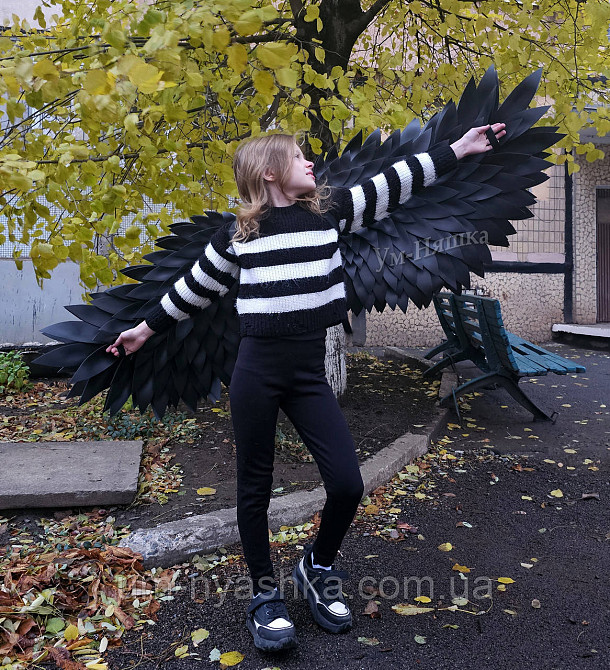 Чорні гнучкі великі крила Кривий Ріг - фото 8