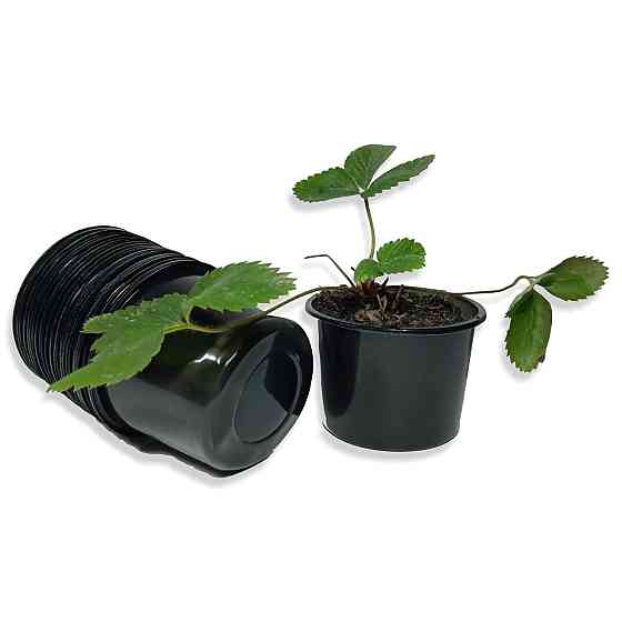 Стакан для розсади 180 мл Аркапласт пластиковий чорний, ящик 2000 штук Харків