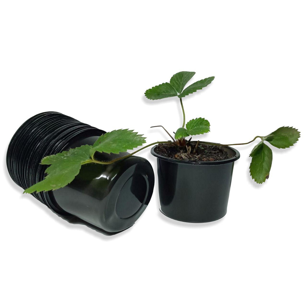 Стакан для розсади 180 мл Аркапласт пластиковий чорний, ящик 2000 штук Харків - фото 2