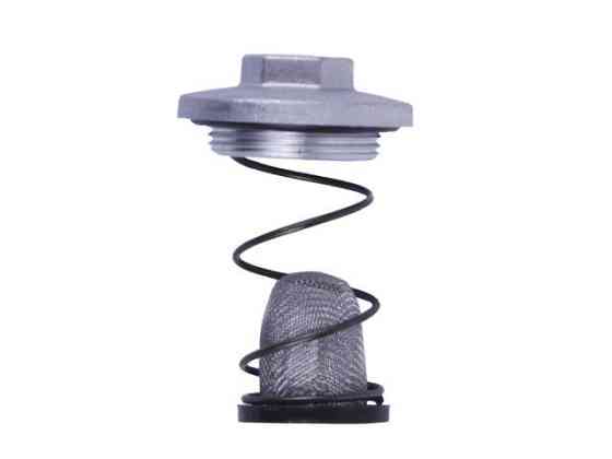 Кришка зливу оливи в комплекті на чотиритактний двигун Мукачево