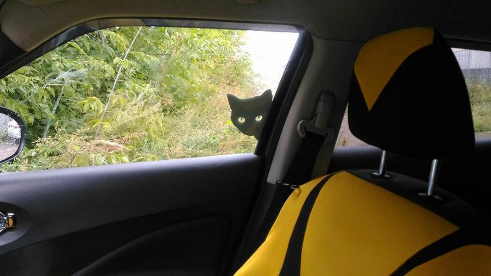 Наклейка Кот на авто Чёрная , Белая светоотражающа Киев - изображение 8