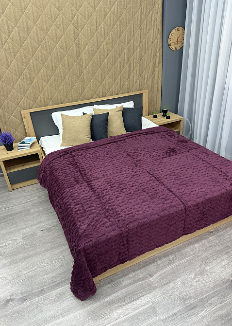 Плед-покривало 200х230 см (+-5см) Сливовый (87-242) Киев - изображение 6