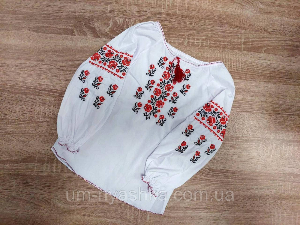Ніжна блузка з вишивкою "Марічка" червоно-чорна 122-140 Кривий Ріг - фото 1