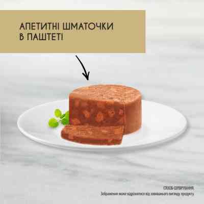 Паштет для кошек Purina Gourmet Gold. С кроликом. Кусочки в паштете 85 г (7613033706271) Винница