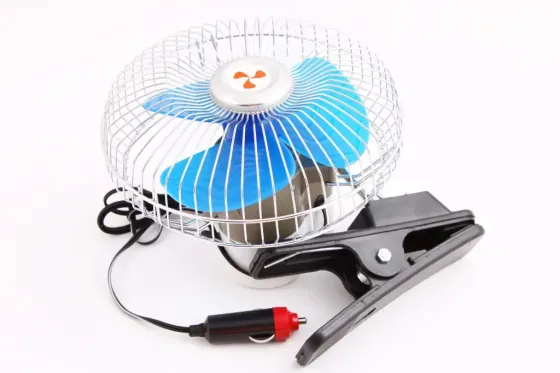 12 у шостому році на кліпі Lavata Вінниця