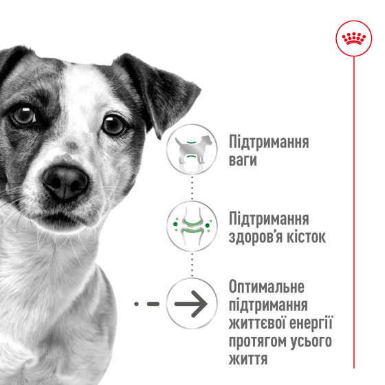 Корм для взрослых собак мелких пород ROYAL CANIN MINI AGEING 12+(возраст от 12 лет) 0.8 кг Киев