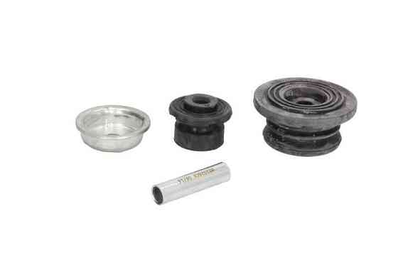 Опора заднього амортизатора Raiso (Швеція) Smart Forfour, Смарт Форфоур 04-06 #RC09923 UASPGSF22 Ковель