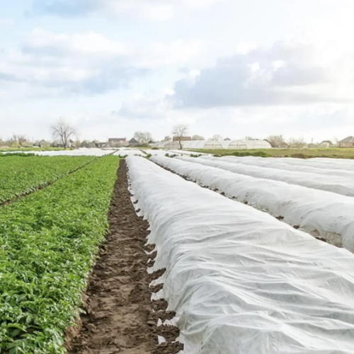 Агроволокно 30гр/м2 (6,35м) 100м (рулон) білий Агрін Житомир