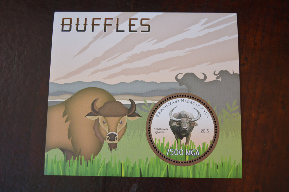 Мадагаскар. Фауна. Личности. Блок. (А-35) Полтава - фото 1