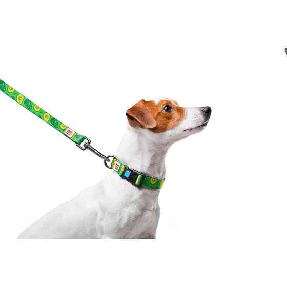Повідець для собак нейлоновий WAUDOG Nylon, малюнок "Авокадо", Ш 20 мм, Дов 122 см Коломия