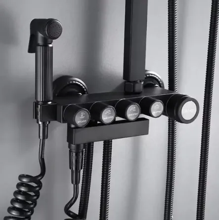 Душ на стену из нержавеющей стали / тропический душ с регуляторами и биде shower AND AA6-6 Коломыя