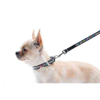 Ошейник для животных WAUDOG Design с QR паспортом "Пончики" Ш 20 мм Д 29-38 см черный (36931) Винница