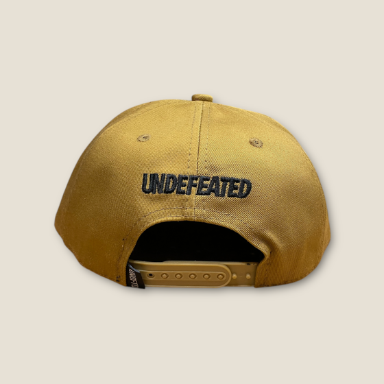 Кепка Bape x Undefeated коричневий one size (р) Запоріжжя