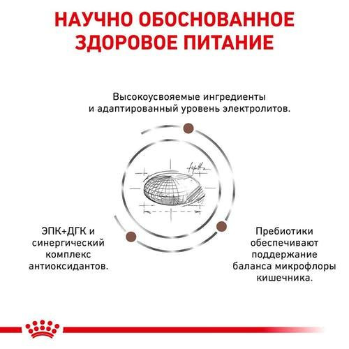 Royal Canin Hepatic (Рояв Канін Гепатик Фелін) сухий корм для кішок при захворюваннях печінки 2 кг. Запоріжжя - фото 2