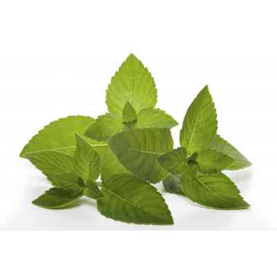 Бальзам для тела Dr. Wild Dolofresh с натуральными эфирными маслами 10 мл (7611841129008) Винница