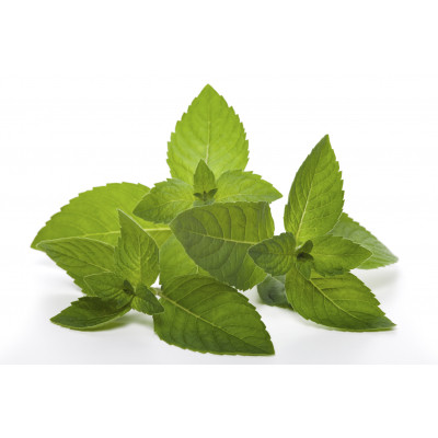 Бальзам для тіла Dr. Wild Dolofresh з натуральними ефірними оліями 10 мл (7611841129008) Вінниця - фото 4