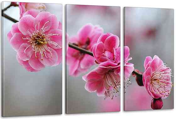 Модульна картина Квіти Весна (53х100см) Аrt-229_3А Київ