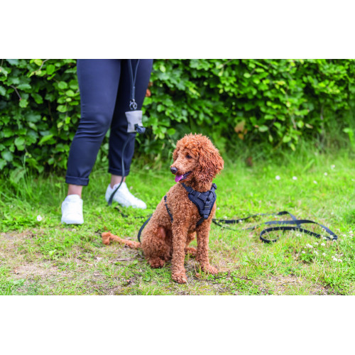 Шлей Trixie CityStyle H-harness для собак бавовна M–L 52–75 см 20 мм чорна Київ - фото 4