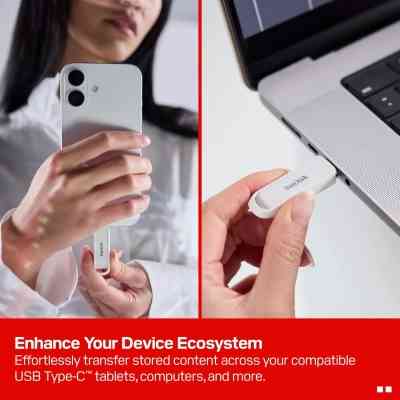 USB флеш накопитель SanDisk 128GB Phone Drive Arctic White Type-C USB 3.2 (SDIXS0N-128G-GN6NE) Винница