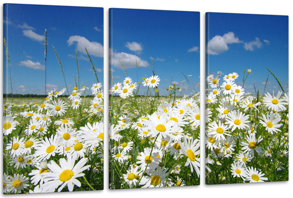 Модульная картина Природа Ромашка Art-47_3А Киев - изображение 1