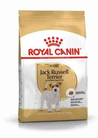 Royal Canin Jack Russel Adult (Роял Канін Джек Рассел Едалт) корм для собак джек-розсел-тер'єр від 10 місяців Запоріжжя