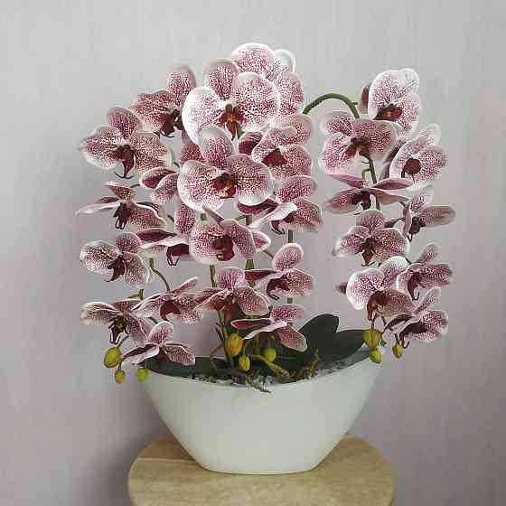 Штучна латексна орхідея VIP в керамічному кашпо на три білі гілки з бордовим градієнтом. Дніпро